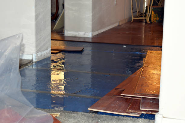 Professional Water Damage Restoration technician working in Knife River, MN